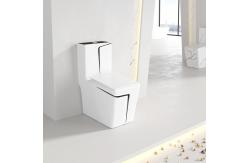China Square WC Siphonic Flush Sanitary Ware Toilet Self Cleaning Spray supplier