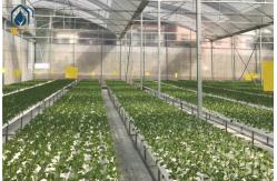 China Smart NFT Hydroponic Growing System Plant Growth Commercial And Indoor Garden Kit supplier