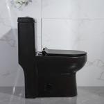 China Compact Trapway Skirted One Piece Toilet Closet Flush Water Easy Clean manufacturer