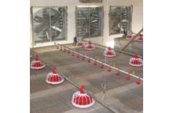 China 20 Birds/M² 300g Automatic Pan Feeding System supplier
