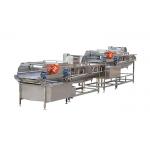 50HZ 4KW 1000KG/H Vegetable Vortex Cleaning Machine for sale