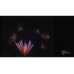 CE 100 150 300 500 600 1000 Shots Professional Cake Fireworks Customizable for sale