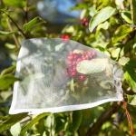 White Plastic Mesh Produce Vegetable Protection Bags Breathable And Eco Friendly