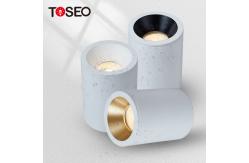 China IP65 Waterproof Ceiling Mounted Down Lights Surface Mounted Cylinder Downlight supplier