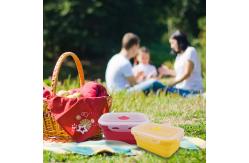 China 800ml 1200ml Silicone Lunch Containers Collapsible Silicone Lunch Box supplier