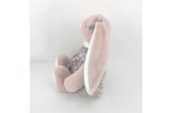 China OAINI OEM ODM PP Cotton Stuffed Animal Toys Planet Friendly supplier