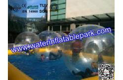 China Customized Inflatable Adult Swimming Pool Slides For Entertainment supplier