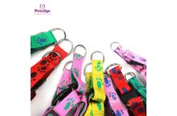 China Padded Handle 120cm Nylon Dog Leash For Walking / Training supplier