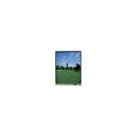 2.7 inch lcd screen A027DTN01.D New LCD Display 320(RGB)×240 for sale