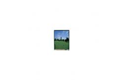 China 2.7 inch lcd screen A027DTN01.D New LCD Display 320(RGB)×240 supplier