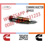 Diesel Common Rail Fuel Injector 2872405 2894920 2872544 2086663