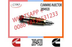 China Diesel Common Rail Fuel Injector 2872405 2894920 2872544 2086663 supplier