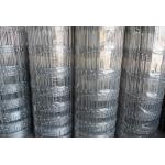 50m Farm Galvanized Steel Field Fencing , Galvanised Wire Mesh Fencing for sale