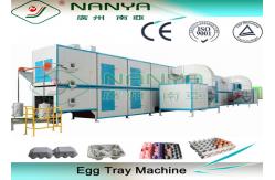 China Cup Carrier / Egg Tray Pulp Molding Equipment 3000Pcs To 6000Pcs Per Hour supplier