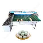 Duck Egg Sorting Machine Egg Weight Grader Egg Grading And Cleaning Machine for sale