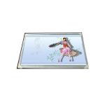 20.1 Inch AUO LCD Screen A201SN01 V6 800*600 49PPI TTL 50 Pins Terminal for sale