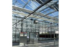 China Garden Vegetables and Flowers Arched Roof Glass Greenhouse with Hydroponics System supplier