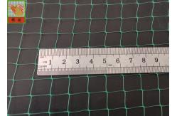 China Reinforcement Polypropylene Oriented Light 5.1m Erosion Netting supplier