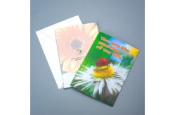 China Factory Hot Sale Custom Kpop 3D Lenticular Printing Postcard/ Business Card supplier