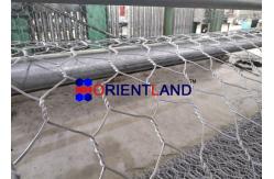 China Triple Twisted PVC Coated Gabion Wall Baskets 100x120mm supplier