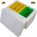 Plastic Mating Nuc bee hives bee breeding box mini foam polystyrene bee box beekeeping starter kit ESP mating for sale