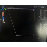 GE 12L-RS Ultrasound Probe Repair For Crystal Array Replacement