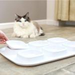 Cat Bowl Double Bowl Six Bowl Curling Leak-Proof Cat Food Bowl Cat Water Bowl Pet Bowl Cat Supplies for sale