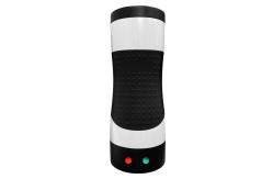 China Customized Vertical Electric Snack Maker Egg Master Easy Quick Egg Cooker supplier