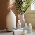 HOMEFISH 100ml Essential Oil Diffusers No Water 2.4MHz for sale