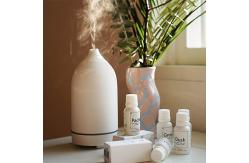 China HOMEFISH 100ml Essential Oil Diffusers No Water 2.4MHz supplier