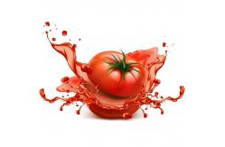China SUS316  Automatic Chili Onion Tomato Sauce Processing Machine Industrial Ketchup Making supplier
