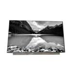 Innolux 15.6 LCD Panel N156HCA-EAB 1920(RGB)×1080 Vertical Stripe 141PPI Laptop LCD Screen for sale