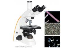 China 1000x Compound Optical Microscope A12.0205 Trinocular Led Light Source supplier