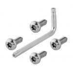 Micro Markings Laser-Etched Stainless Steel Security Screws with JIS Standard and Sandblast And Anodize for sale