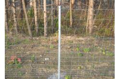 China Hot Dipped Galvanized 1.8m Livestock Fence Panels supplier