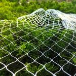 Opening 2.5mm Bird Netting For Grapes Anti Bird Protection Net