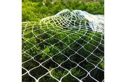 China Opening 2.5mm Bird Netting For Grapes Anti Bird Protection Net supplier
