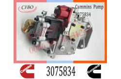 China Diesel Injection For Cummins KTA50 PT Fuel Pump 3075834 3059657 3060947 supplier