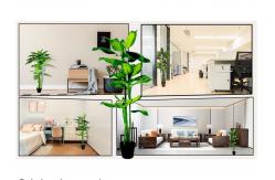 China Anti UV Potted Evergreen Plants Artificial Landscaping Faux Trees supplier