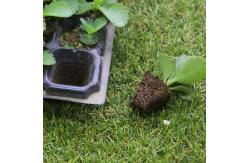 China 105 Holes Rectangular Polystyrene Seed Raising Tray Deep Cell Plug Trays 540X280mm supplier