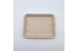 China Compostable Biodegradable Bagasse Tableware Disposable Rectangular Shape supplier