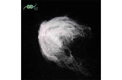 China Nontoxic Eco-Friendly Non Siliconized 2.78D Virgin Staple Fiber Polyester supplier