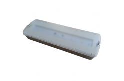 China Custom Battery Powered Non Maintained Emergency Light With 5730 SMD LED supplier