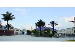 China Areca Palm manufacturer