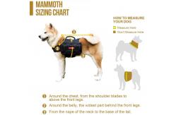 China  				Customized Pets Dogs Pet Carrier Pack Bag Backpack 	         supplier