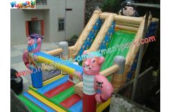 China Child Large Customized Commercial Inflatable Slide , PVC Slides With CE Blower supplier