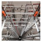 Hot Galvanized Automatic H Type Chicken  Layer Cage Broiler Poultry Cage Space-Saving Design for sale