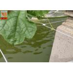 PP Materials Plant Climbing Netting Insect Barrier Netting 3.0M Wide for sale