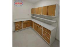 China Rustproof Laboratory Lab Bench Multifunctional 1000x750x850mm supplier
