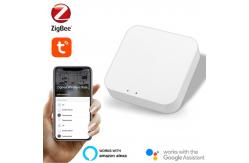 China IEEE 802.15.4 Gateway Zigbee Wifi Tuya supplier